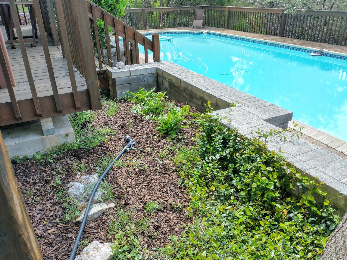 click for larger size