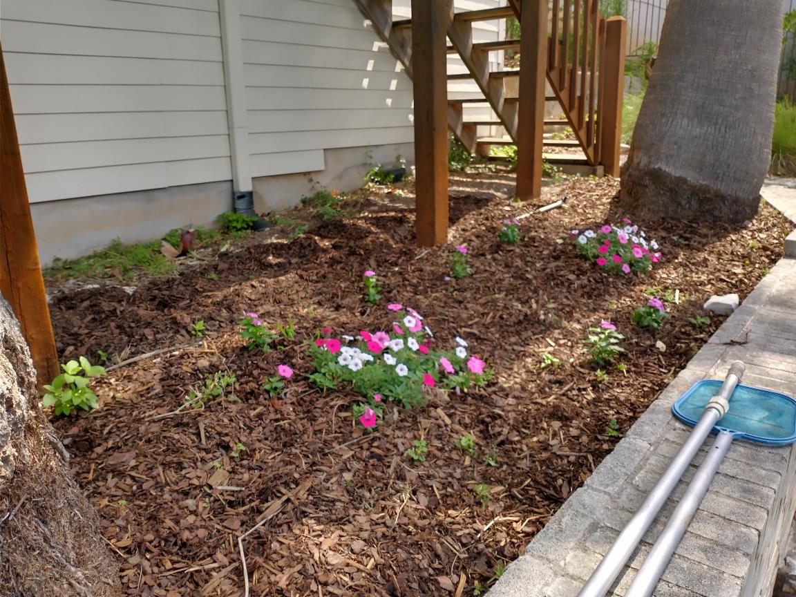 click for larger size