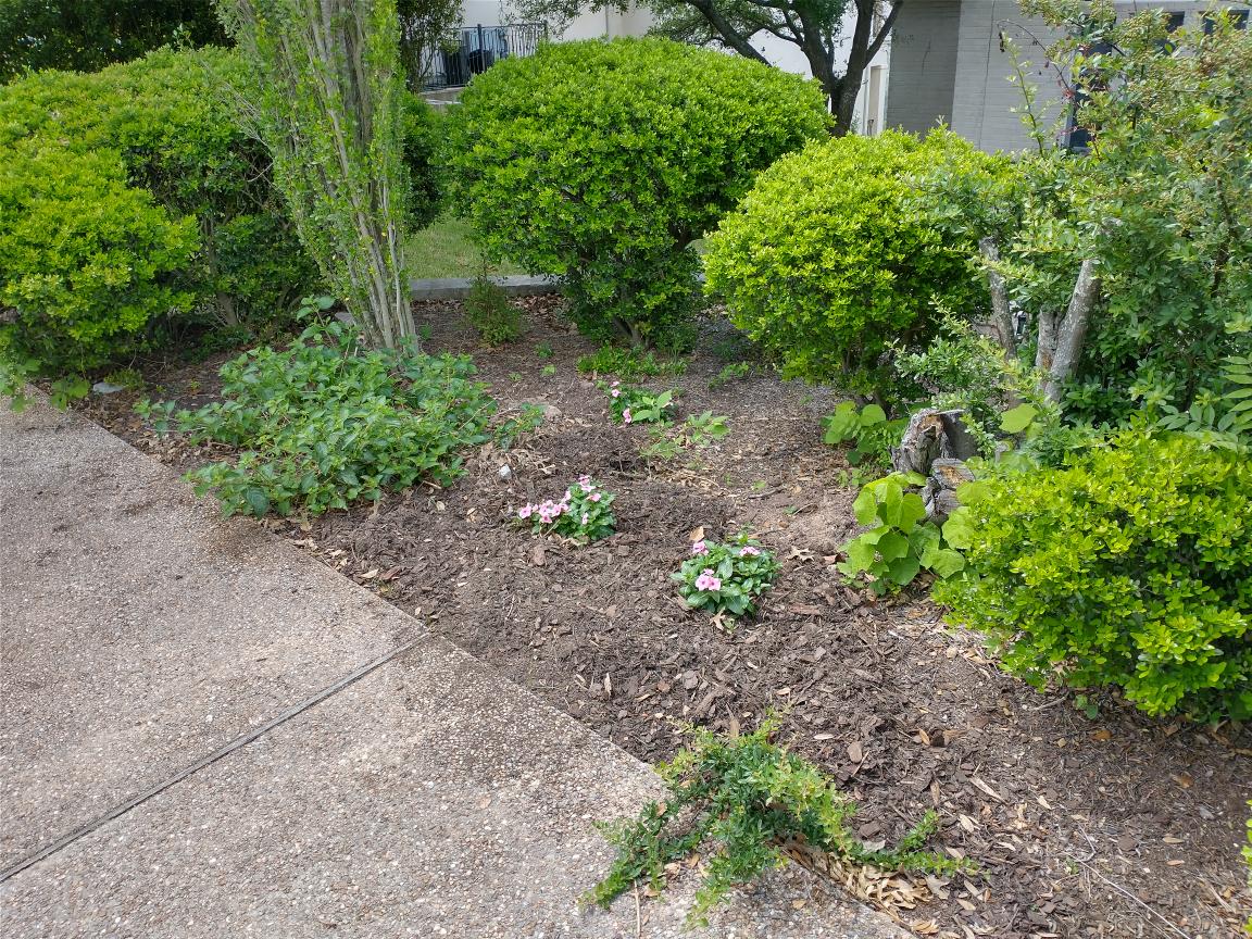 click for larger size