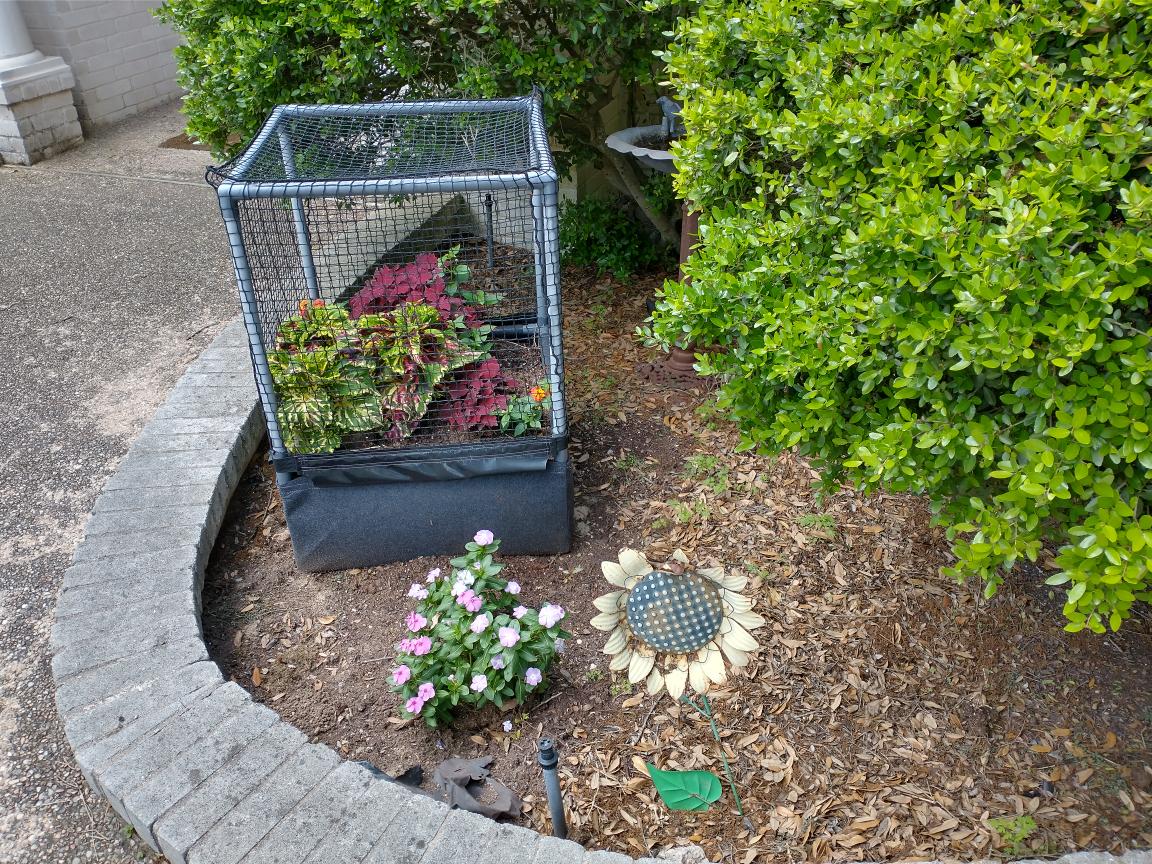 click for larger size