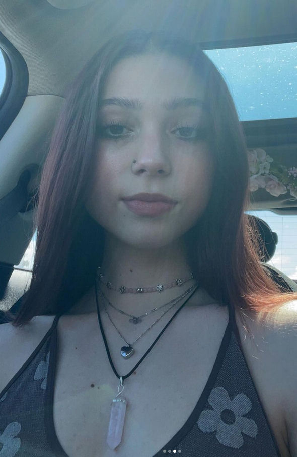 click for larger size