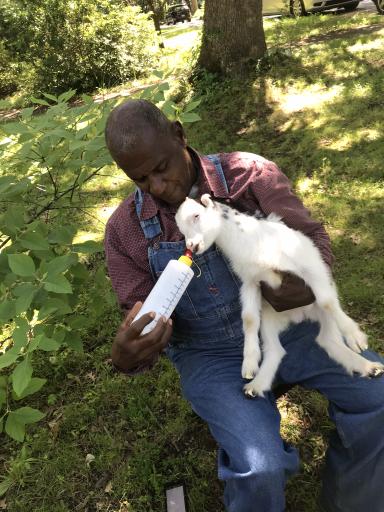 click for larger size