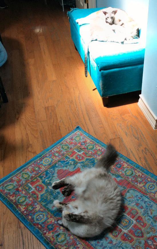 click for larger size