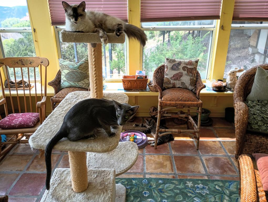 click for larger size