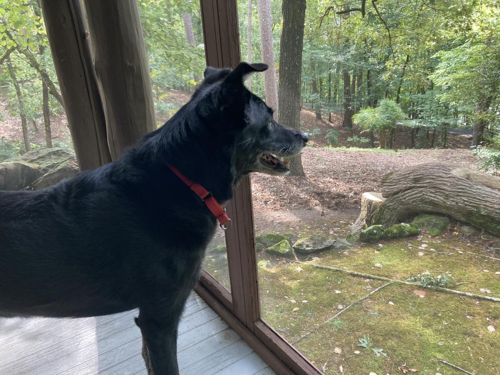 click for larger size