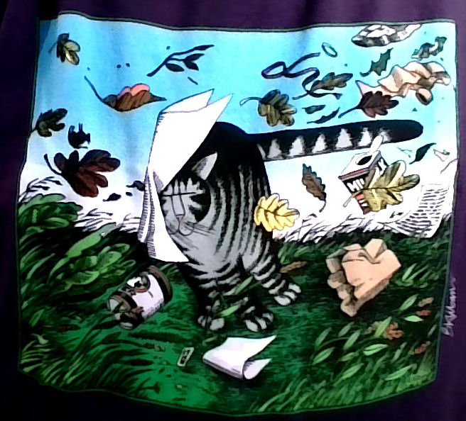 click for larger size