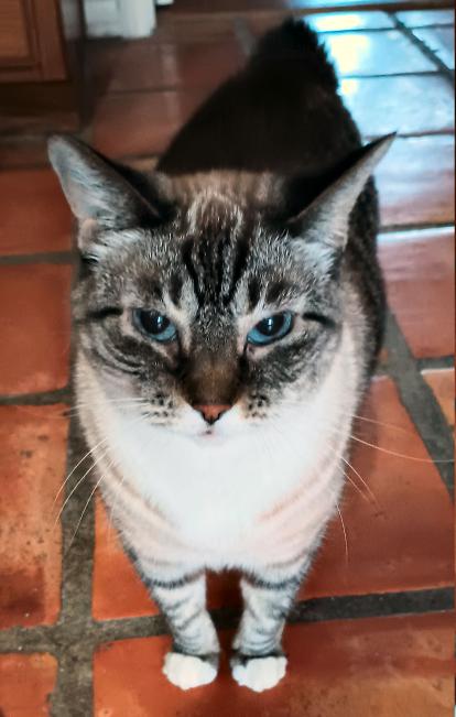 click for larger size