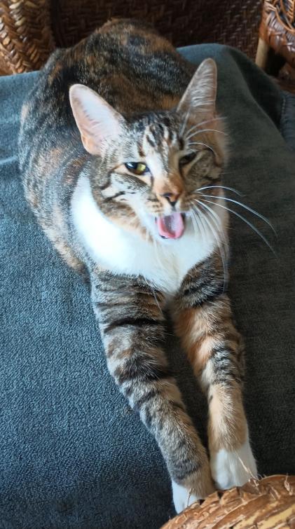 click for larger size