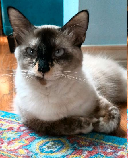 click for larger size