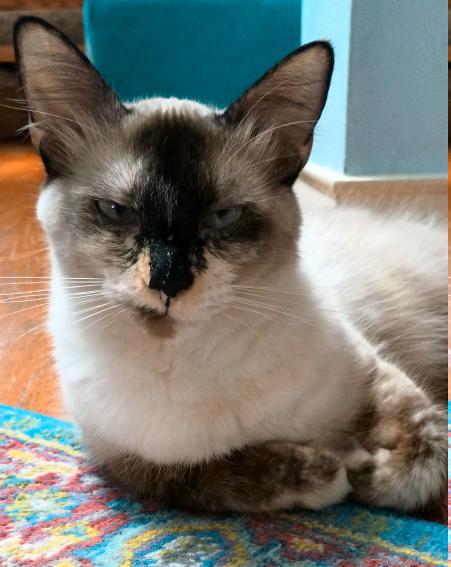 click for larger size