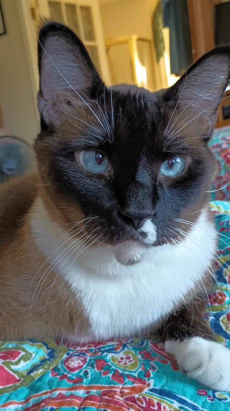 click for larger size