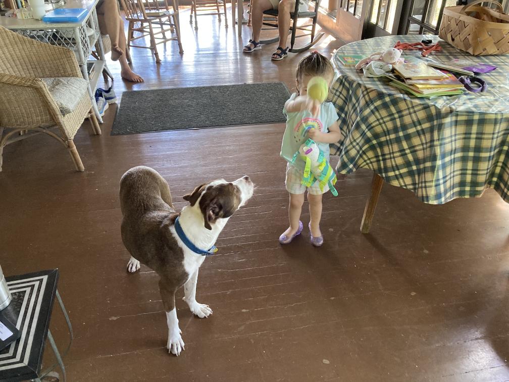 click for larger size