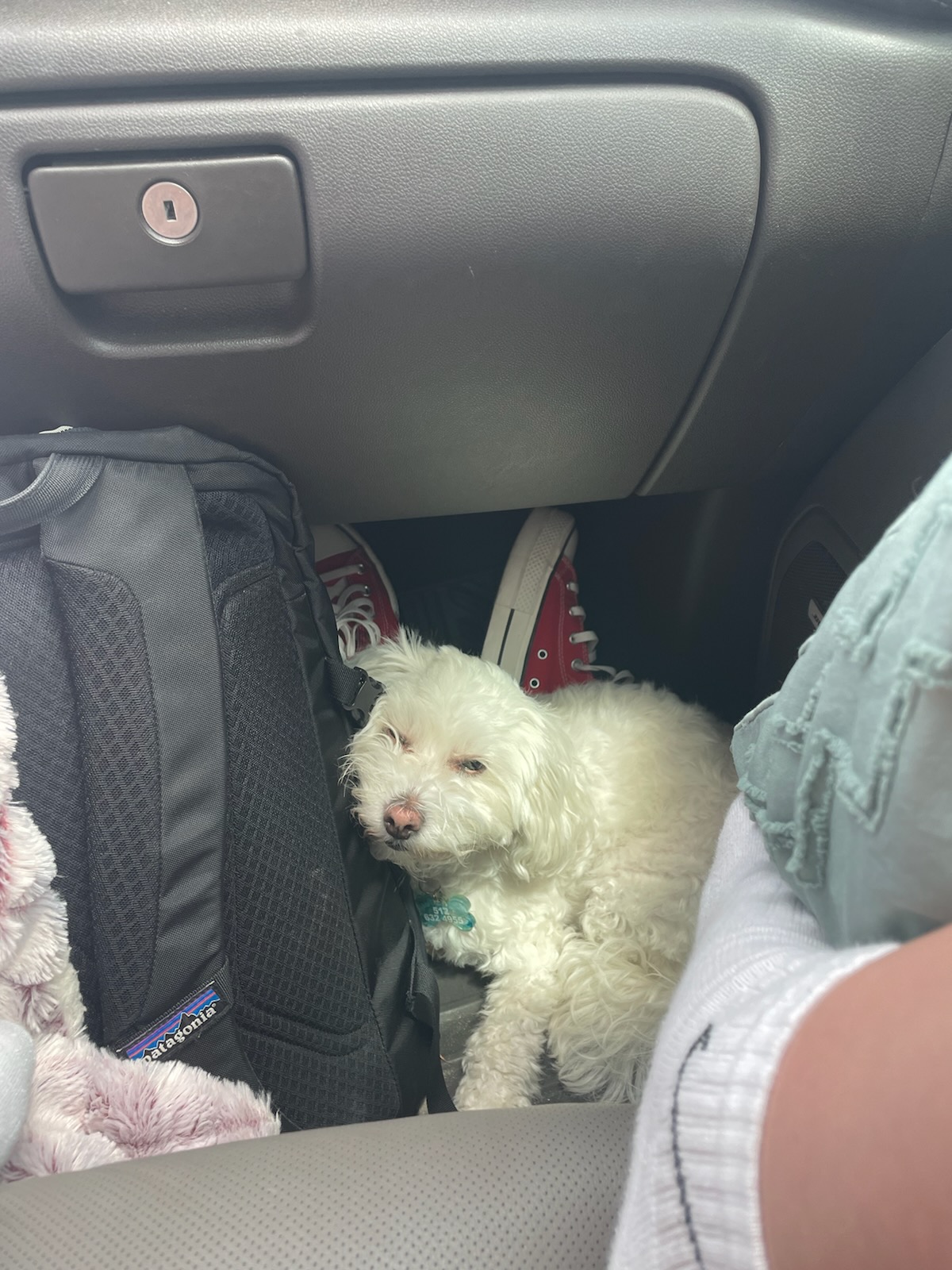 click for larger size