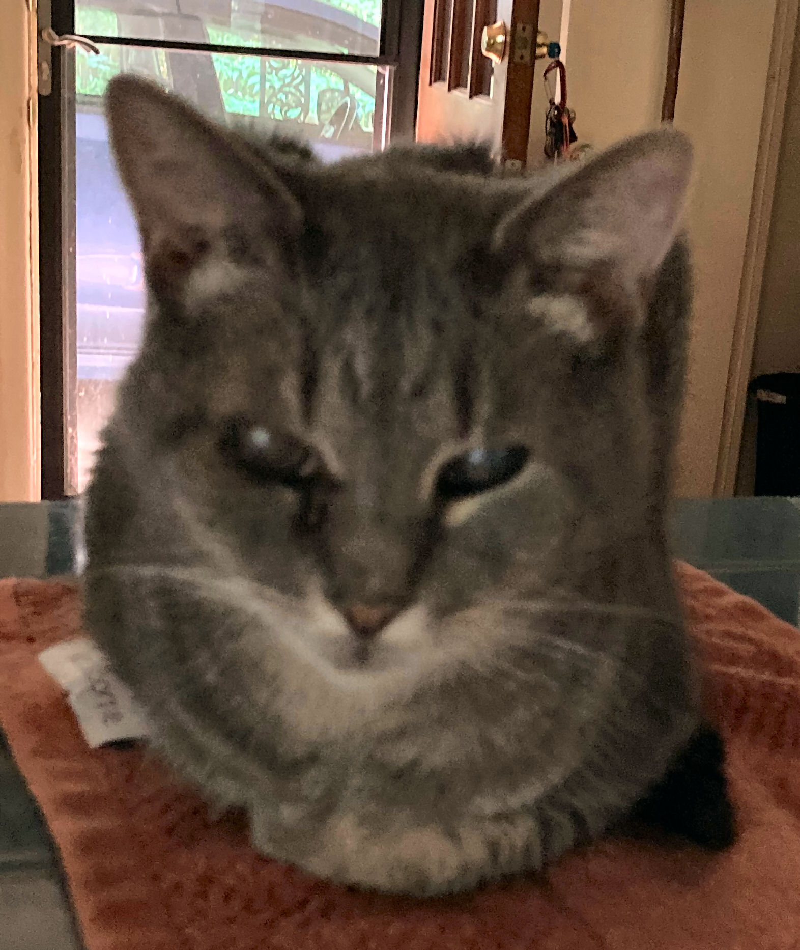 click for larger size