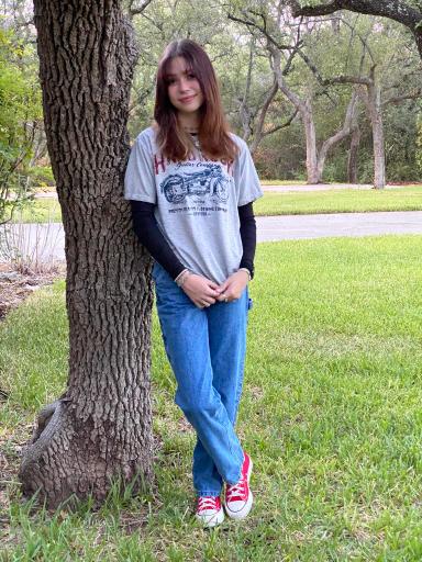 click for larger size