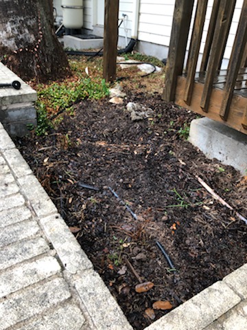 click for larger size