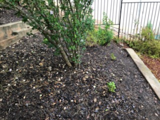 click for larger size