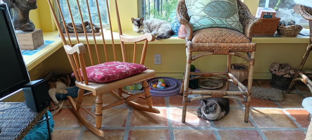 click for larger size