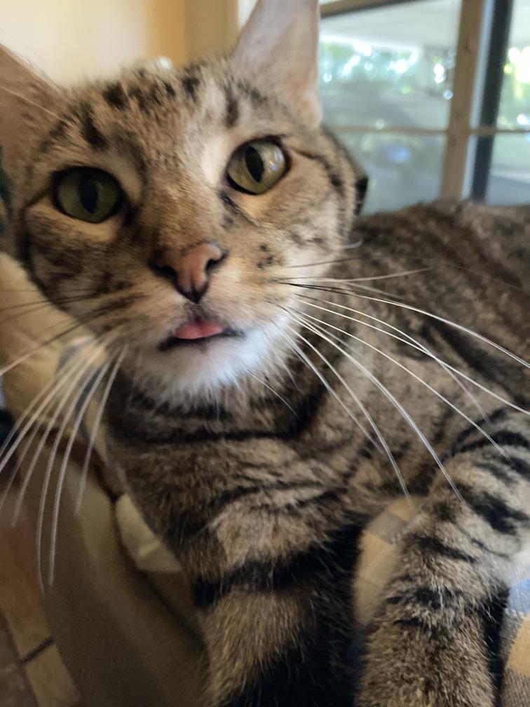 click for larger size