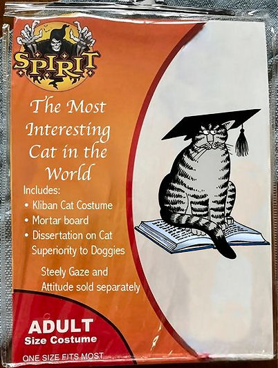 click for larger size