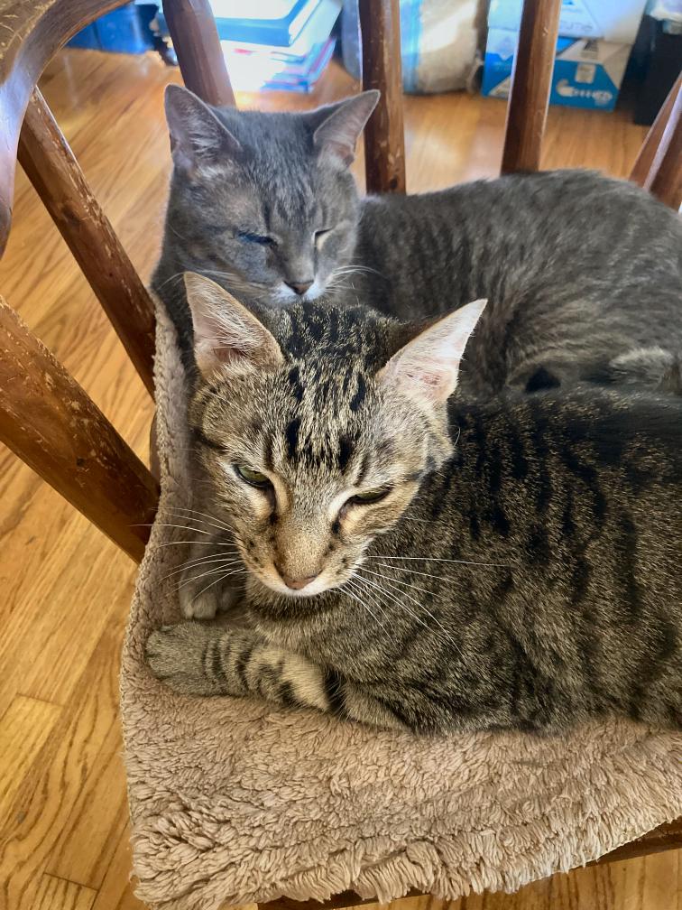 click for larger size