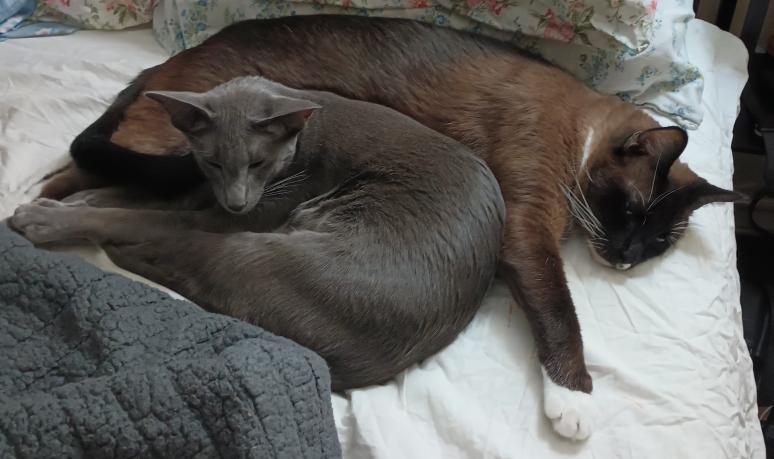 click for larger size