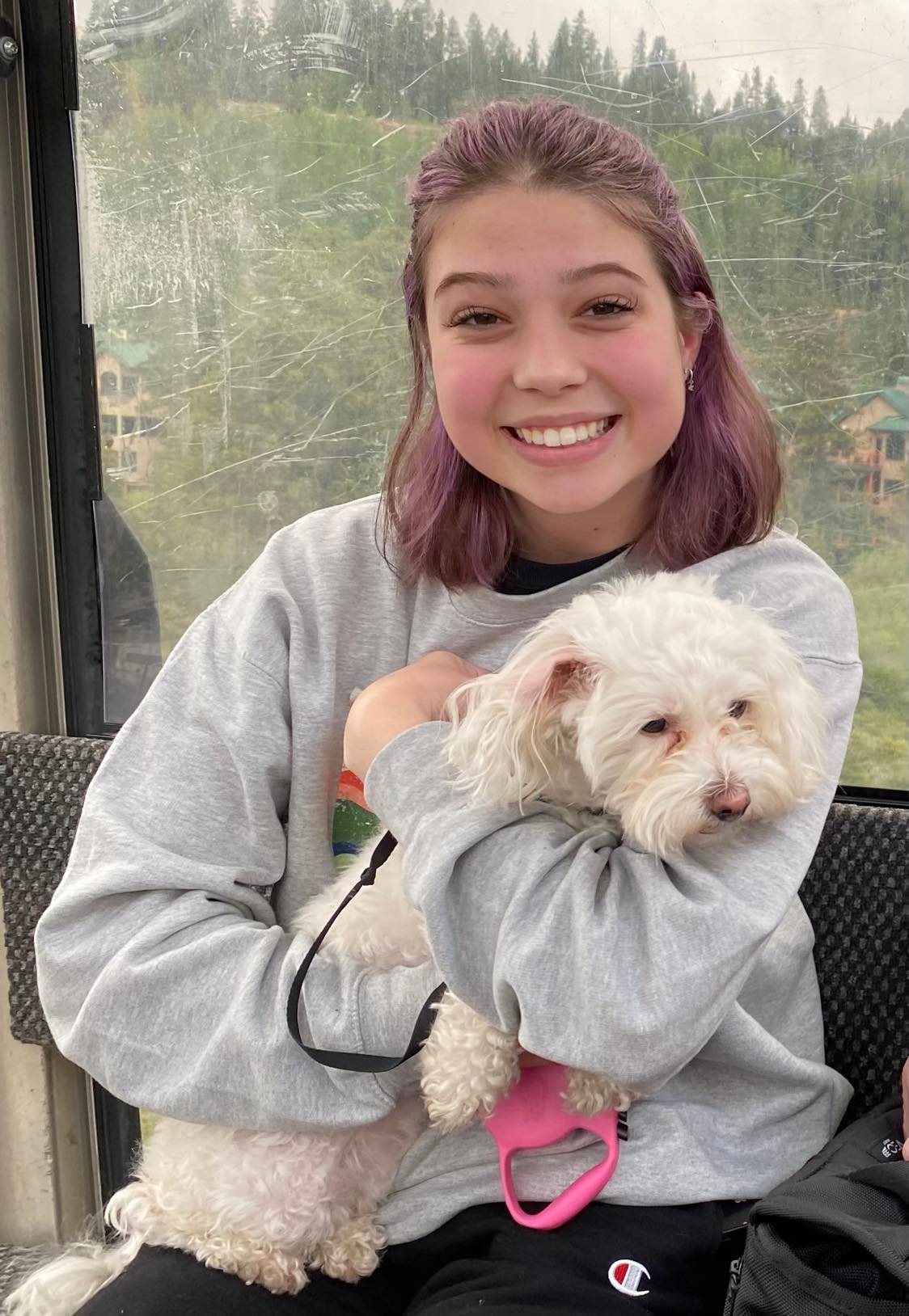 click for larger size