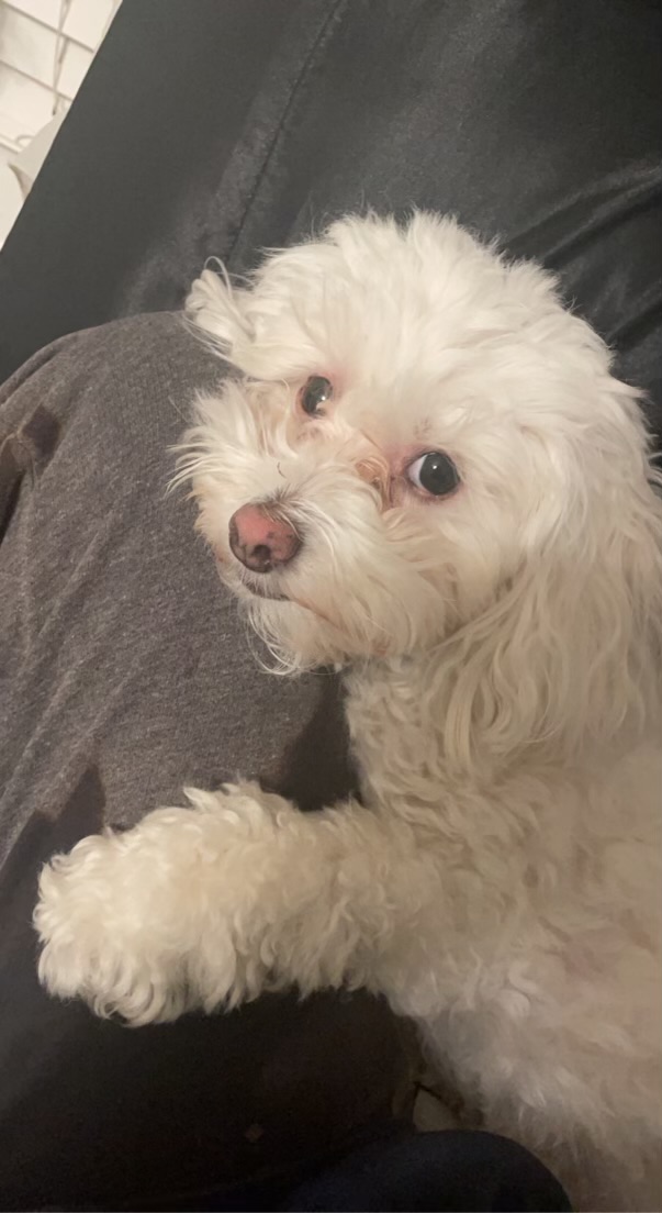 click for larger size