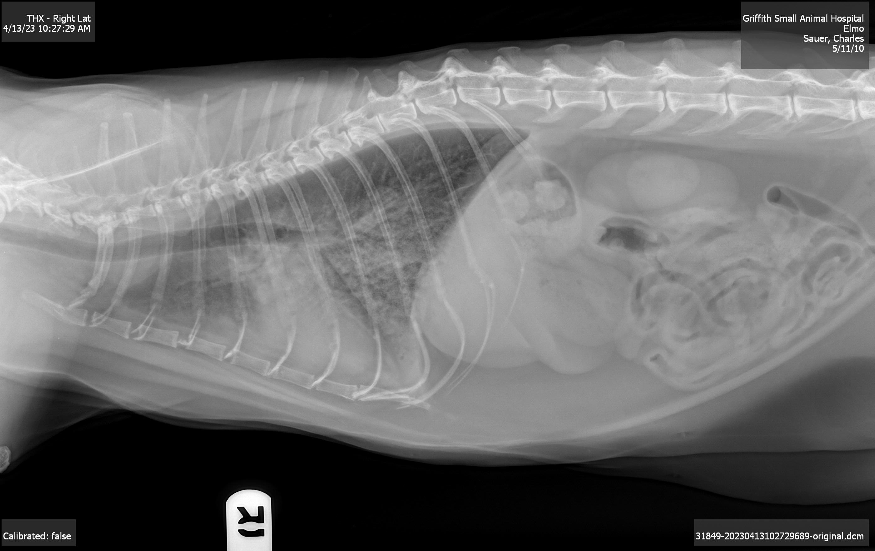 click for larger size