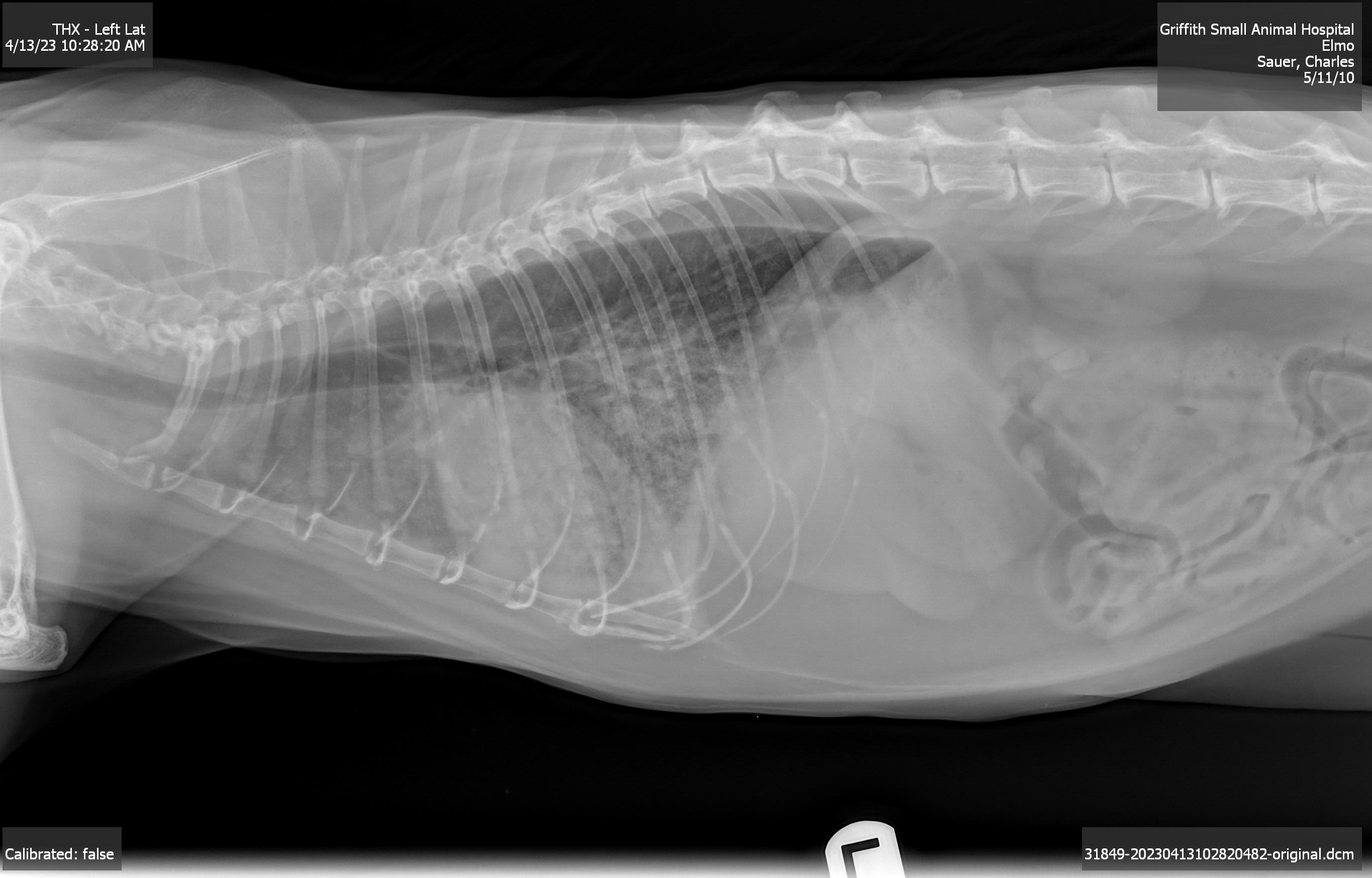 click for larger size