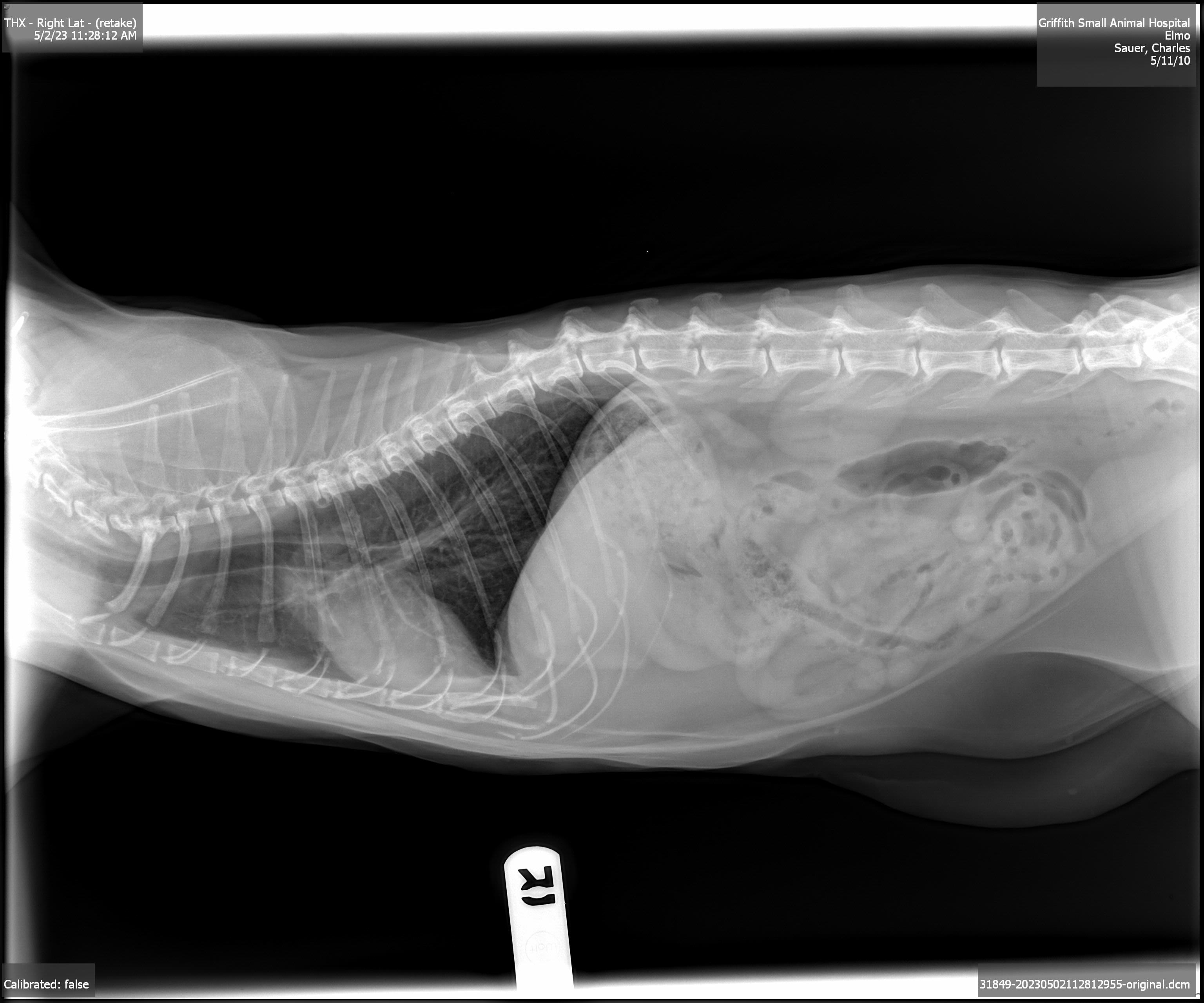 click for larger size