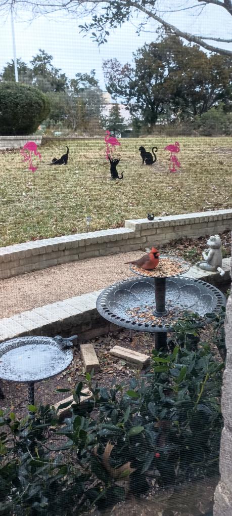 click for larger size