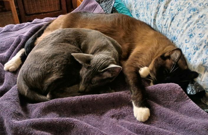 click for larger size