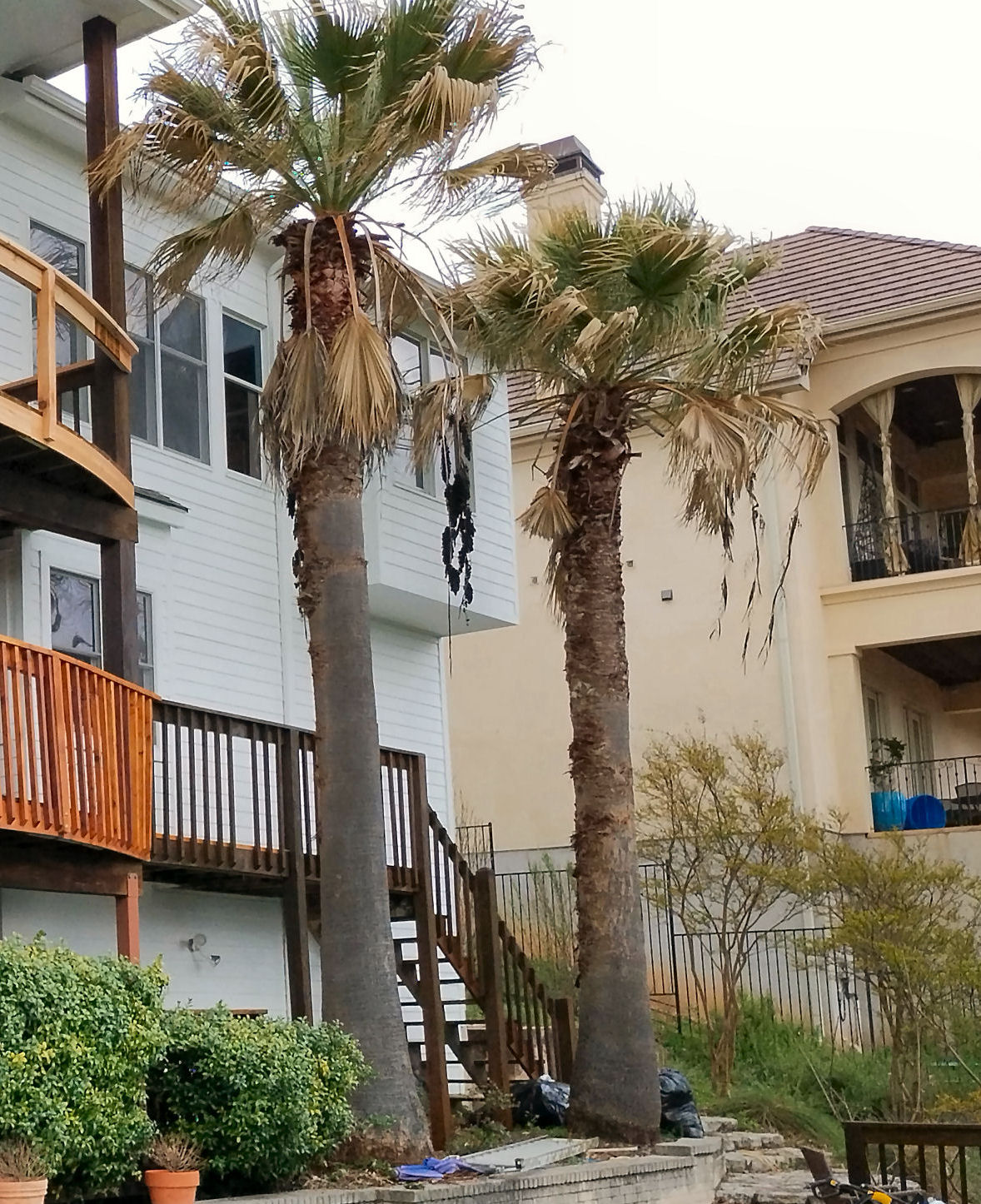 click for larger size