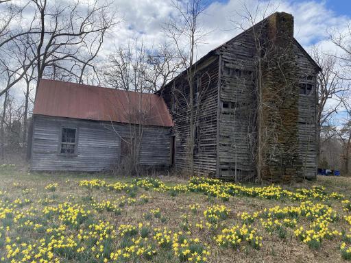 click for larger size