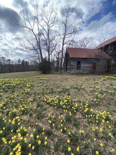 click for larger size