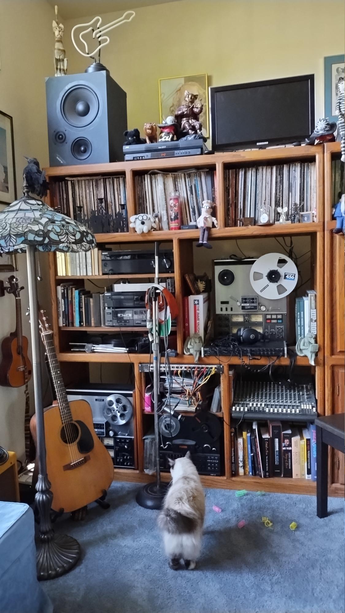 click for larger size