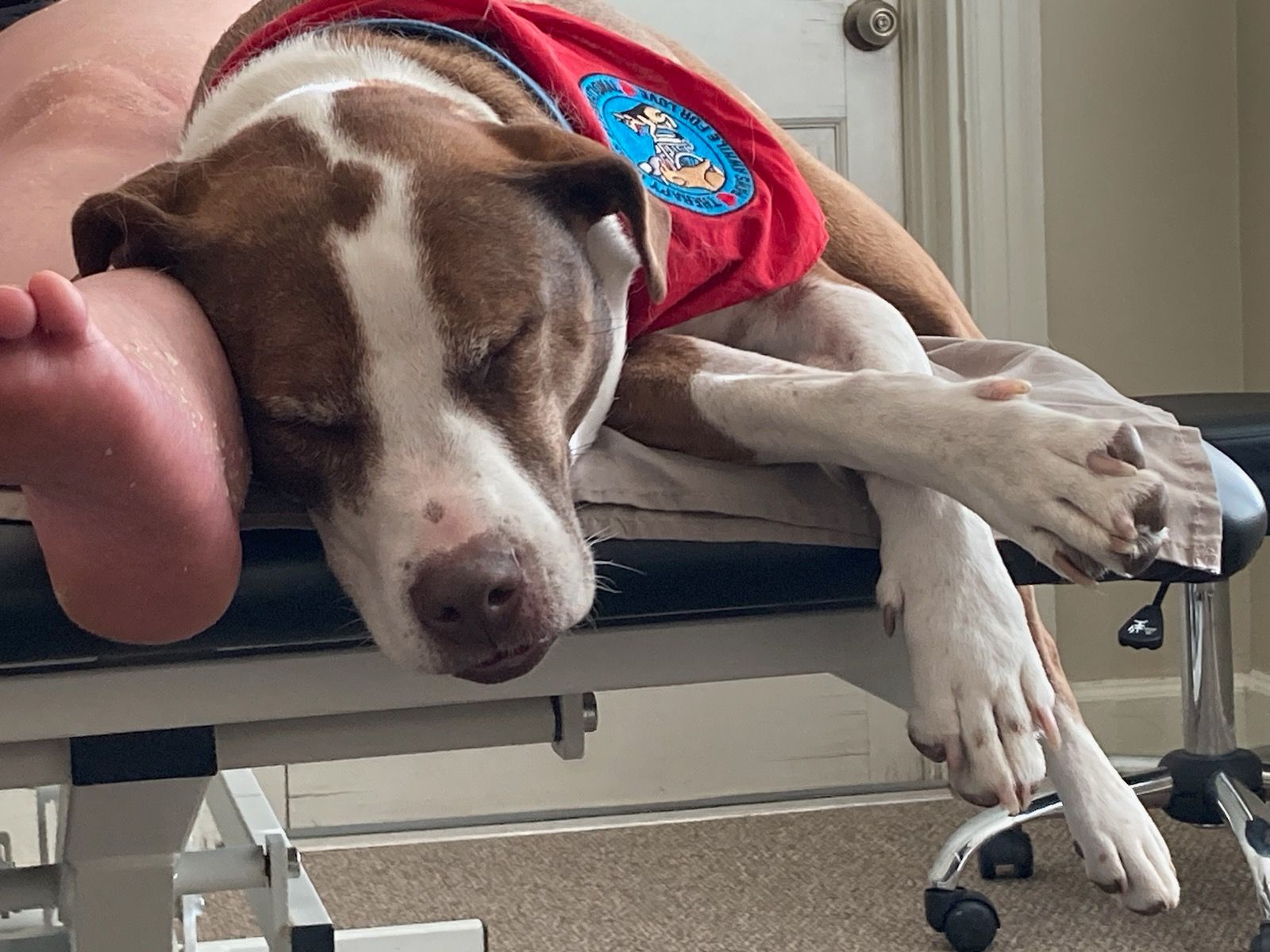 click for larger size