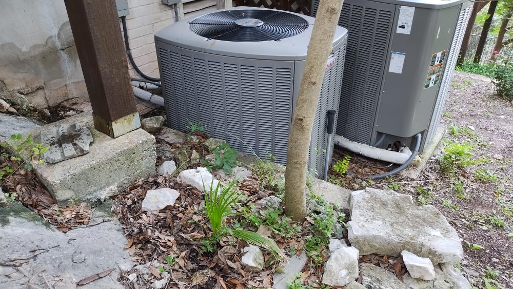 click for larger size