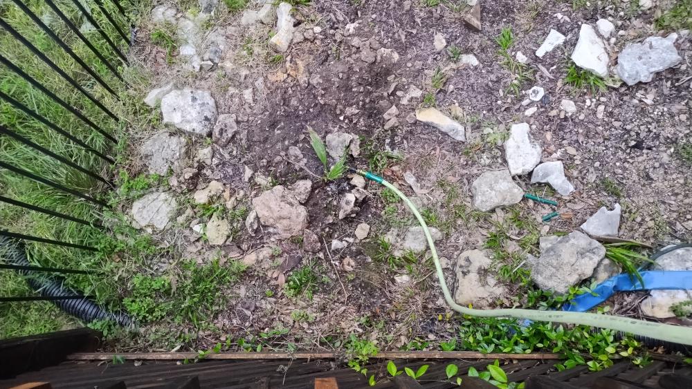 click for larger size