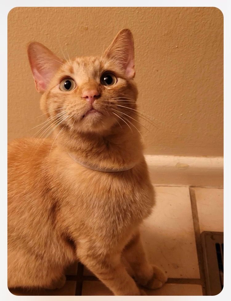 click for larger size