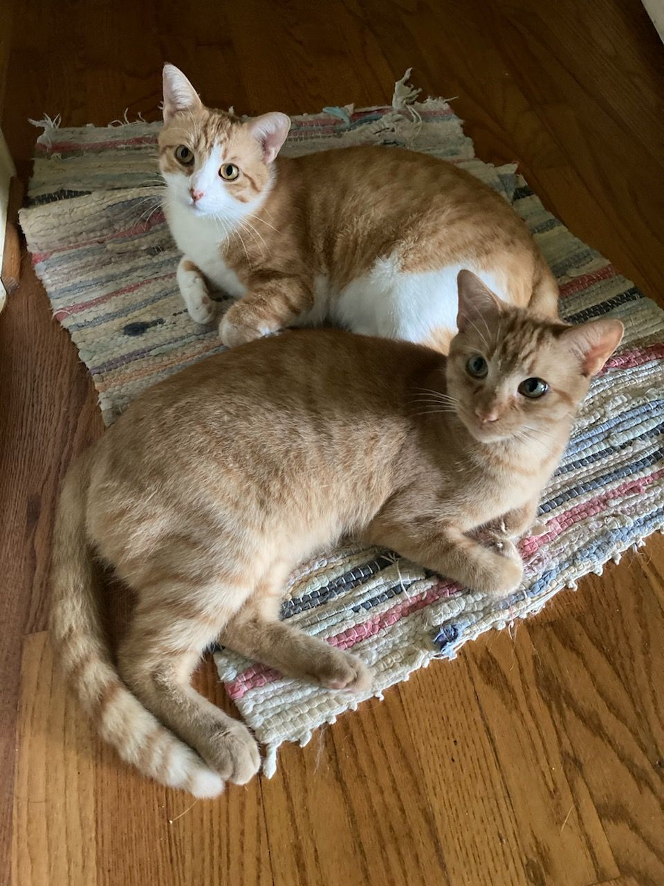 click for larger size