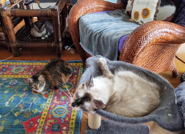 click for larger size