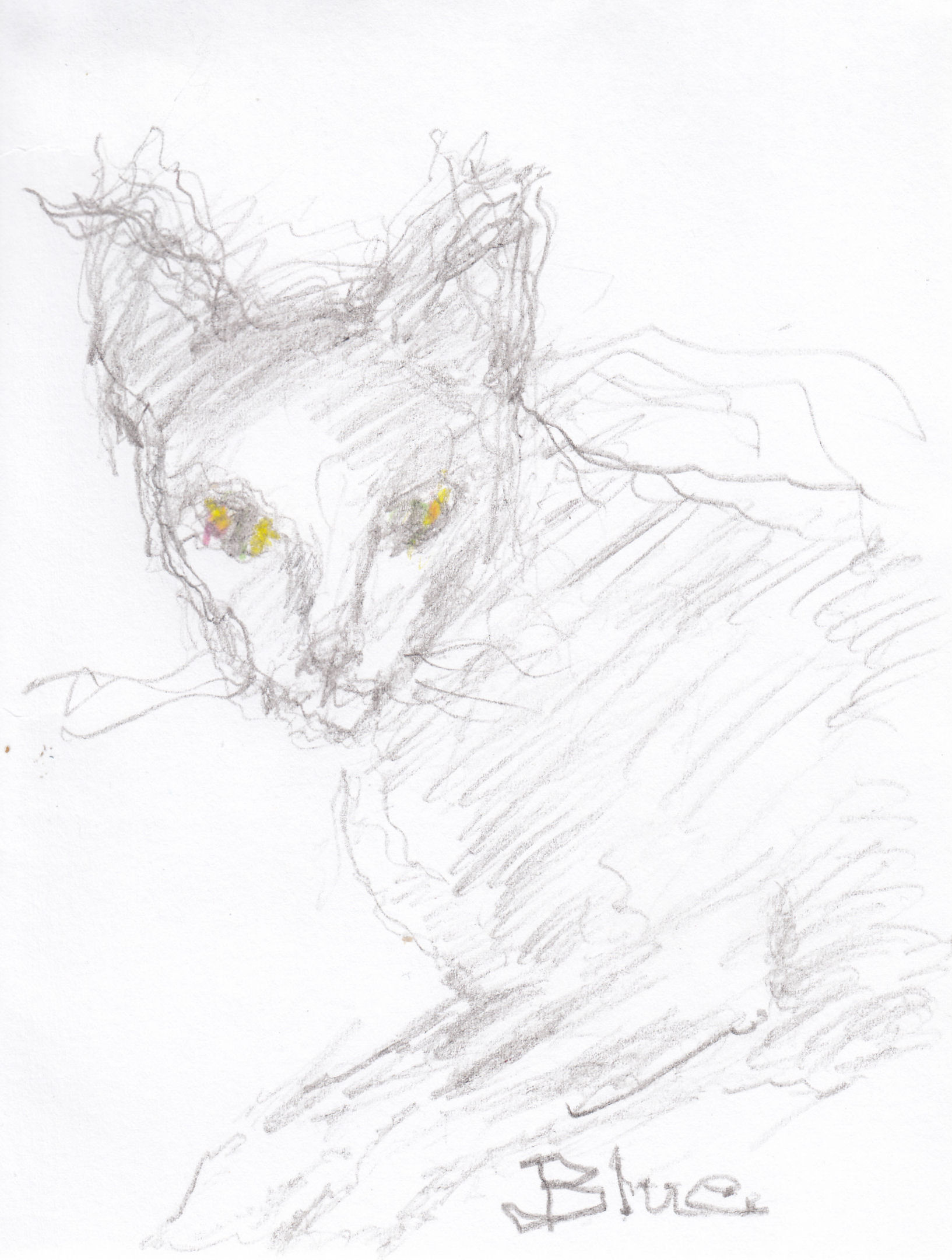 click for larger size