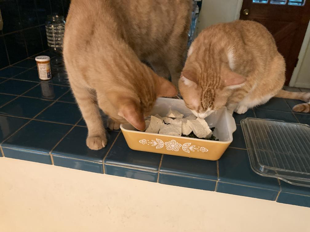 click for larger size