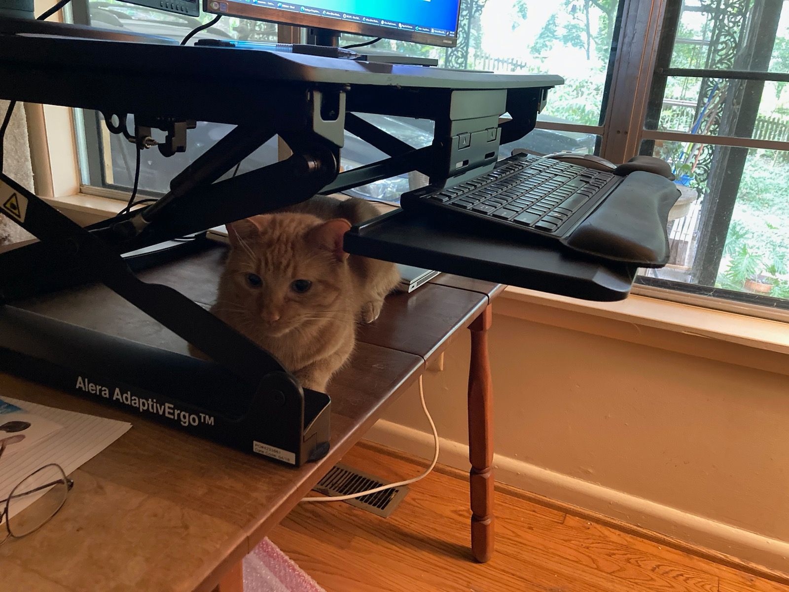 click for larger size