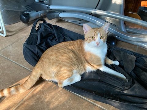 click for larger size