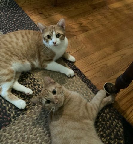 click for larger size