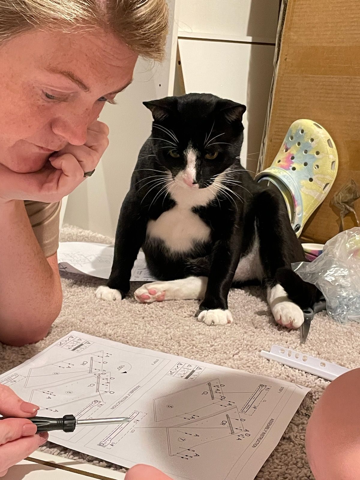 click for larger size