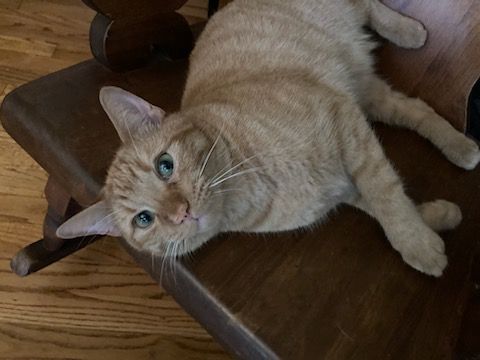 click for larger size